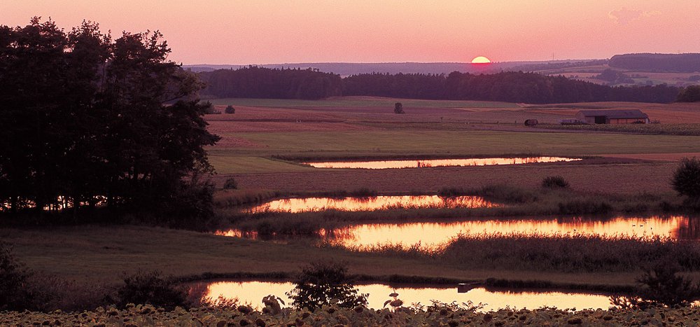 Weiherlandschaft im Steigerwald