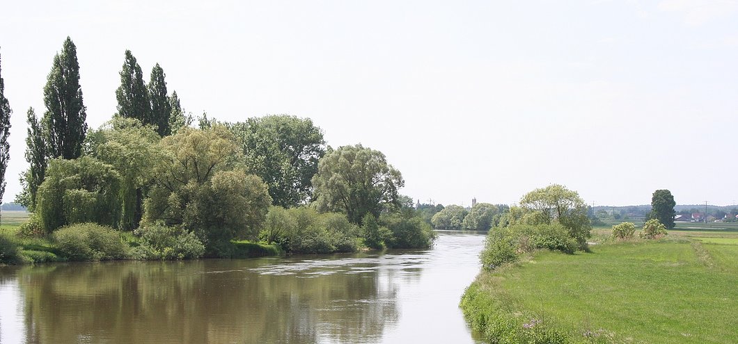 Baiersdorf, Natur