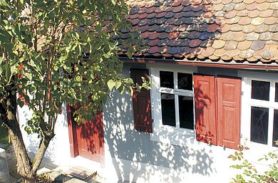 Ein weißes Haus mit roten Fensterläden, davor ein grüner Busch