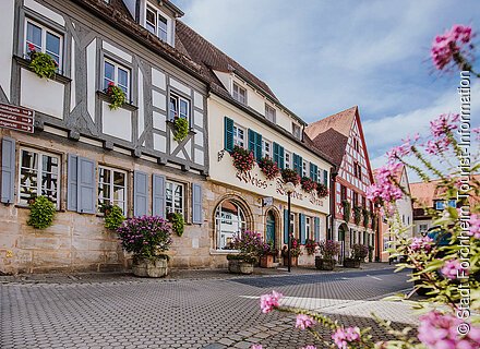 Ein Reihe an Fachwerkhäusern, davor bunt blühende Blumen