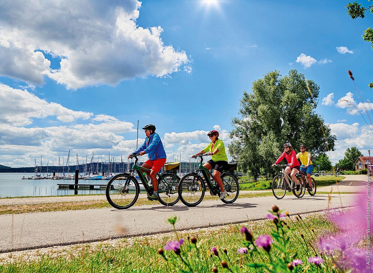 Eine Gruppe von Radfahrer:innen fährt bei schönem Wetter vor einem Gewässer über einen asphaltierten Radweg zwischen Bäumen