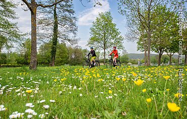 Am MainRadweg