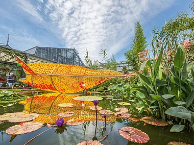 Botanischer Garten
