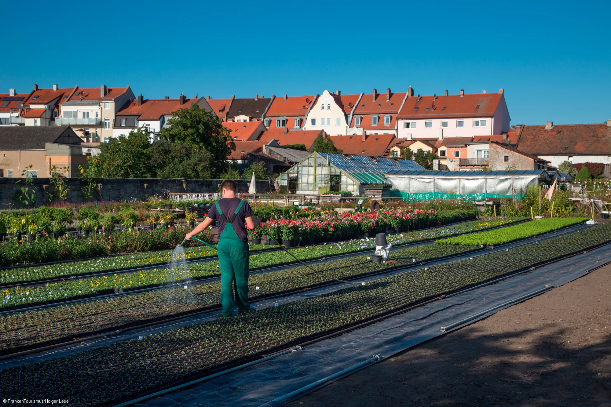 Gärtnerstadt Bamberg
