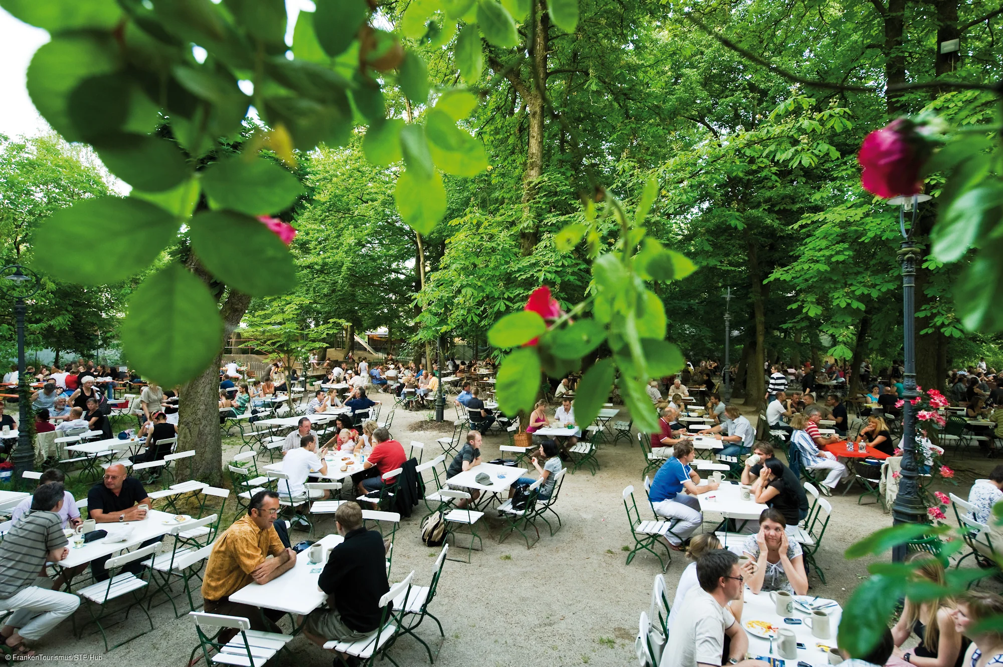 Biergarten "Wilde Rose" in Bamberg