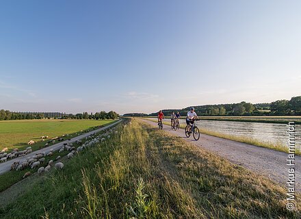 Die Tour entlang am Main-Donau-Kanal Vier Radfahrer fahren auf einem Weg neben einem Fluss, links weiden Schafe auf einer Wiese.