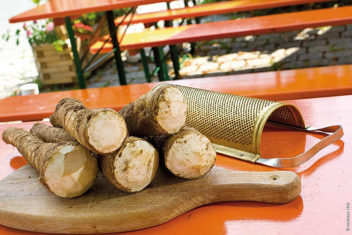 Vier frisch geschnittene Meerrettichwurzeln liegen auf einem Holzbrett neben einer Metallreibe auf einem orangefarbenen Tisch.