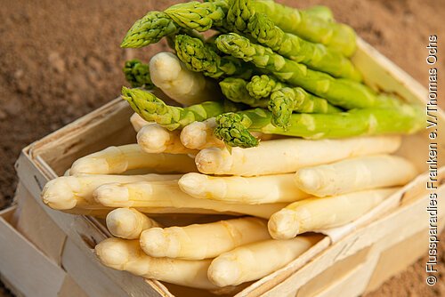 Holzkiste mit grünem und weißem Spargel auf braunem Boden liegend, Nahaufnahme.