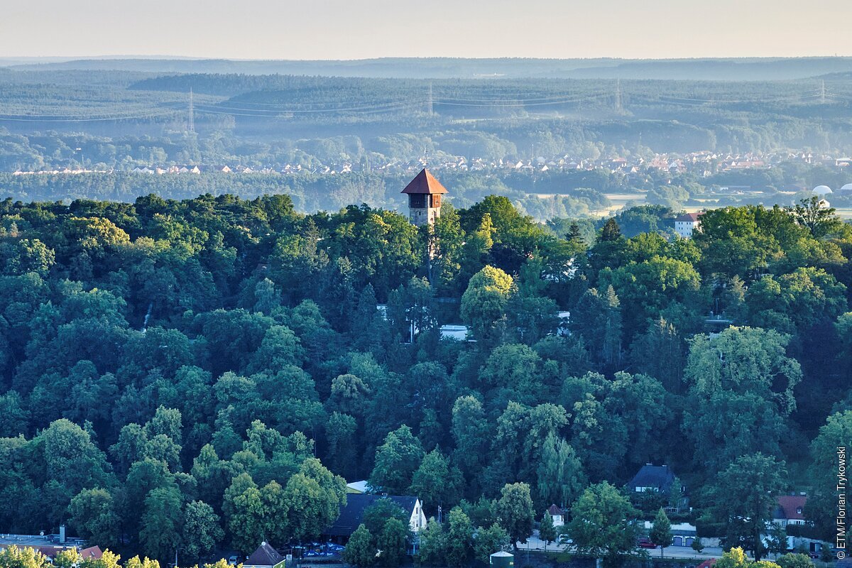 Wald mit einem Turm in der Mitte, dahinter Häuser und Hügel unter klarem Himmel.