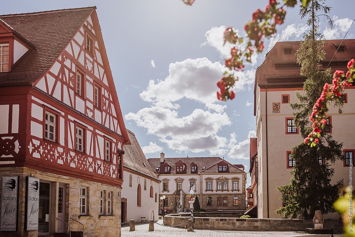 Fachwerkidylle (Forchheim, Fränkische Schweiz) Historische Fachwerkhäuser und ein Baum mit roten Blüten an einem sonnigen Tag mit Wolken.