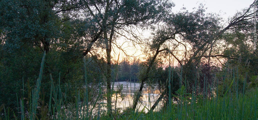 Regnitz Abendstimmung (bei Altendorf, Fränkische Schweiz)