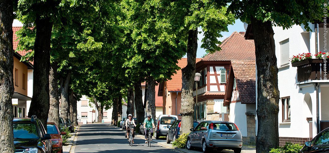 RegnitzRadweg, Lindenallee in Strullendorf