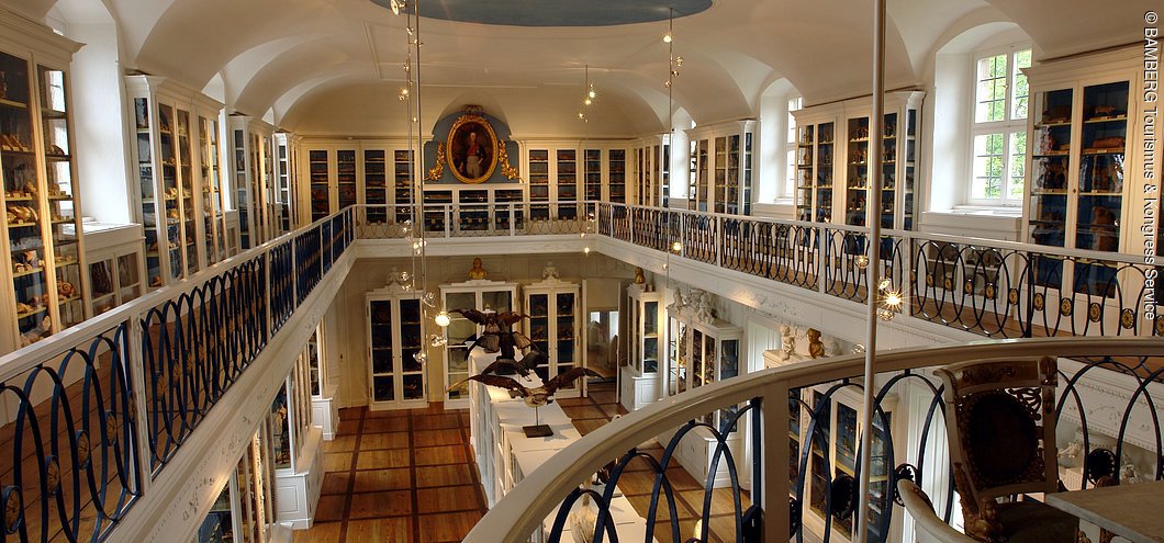 "Vogelsaal" im Naturkundemuseum (Bamberg, Steigerwald)