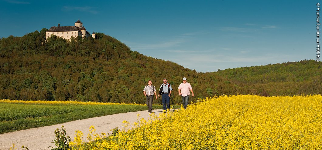 Wandern bei Schloss Greifenstein (Fränkische Schweiz)