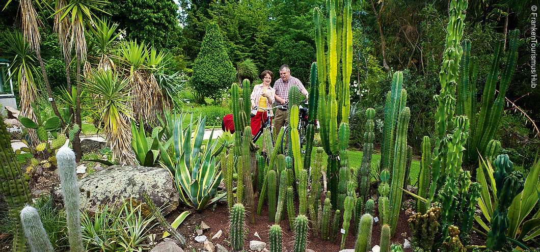 Kakteengarten im Botanischen Garten (Erlangen, Städteregion Nürnberg)