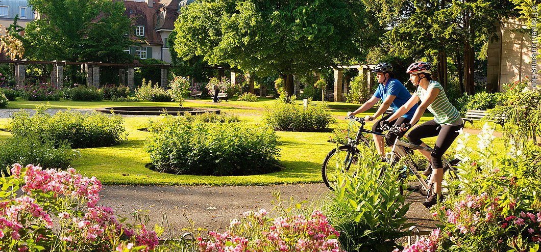 Rosengarten im Stadtpark (Fürth, Städteregion Nürnberg)