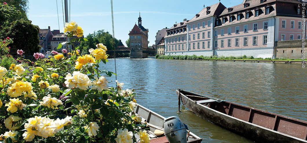 Regnitz, Blick auf die Rückseite des Alten Rathauses